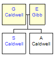 Mini tree diagram