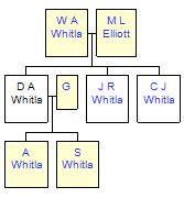 Mini tree diagram