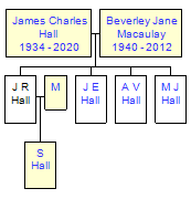 Mini tree diagram