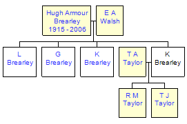 Mini tree diagram