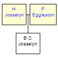 Mini tree diagram