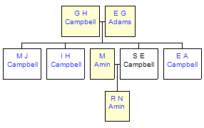 Mini tree diagram