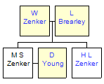 Mini tree diagram