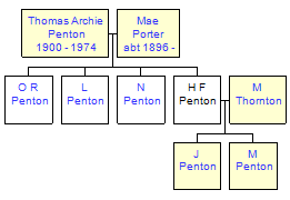 Mini tree diagram