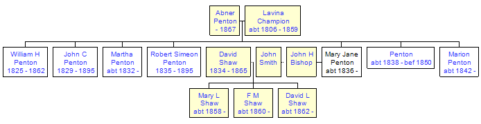 Mini tree diagram