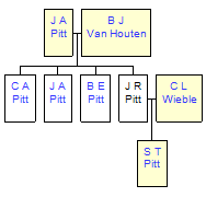 Mini tree diagram