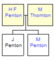 Mini tree diagram