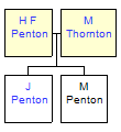 Mini tree diagram