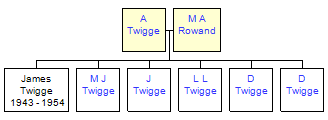 Mini tree diagram